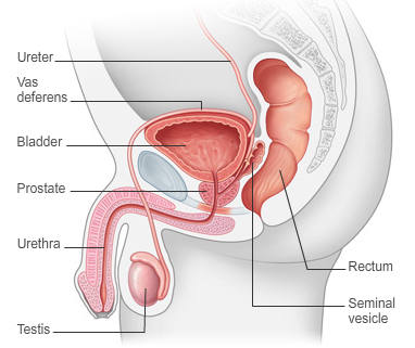 nhs prostate cancer symptoms