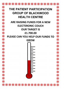 Electronic Couch Fund